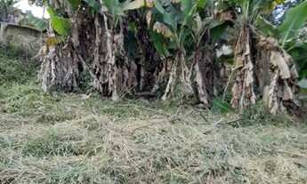 Imagem 5: Chácara a venda