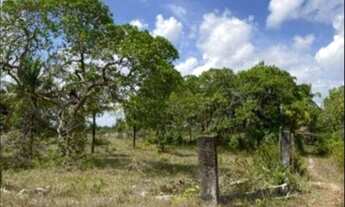 Imagem 5: Fazenda/Sítio/Chácara para venda 2 Alqueires com plantio de café e pomar com casa para m