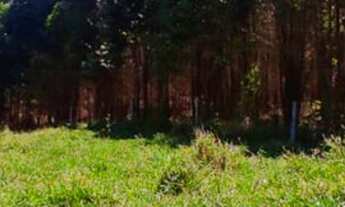 Imagem 6: Lote/Terreno para venda com 500 metros quadrados em SANTA CECILIA - Nazaré Paulista - SP