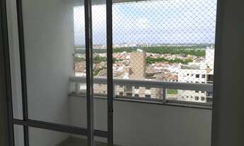 Imagem 6: Arboris Jabotina