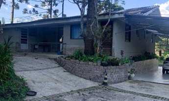 Imagem 7: Chácara à venda, 4367 m² por R$ 1.100.000,00 - Borda Do Campo - São José dos Pinhais/PR