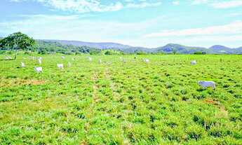 Imagem: Fazenda Padre Bernardo Goiás