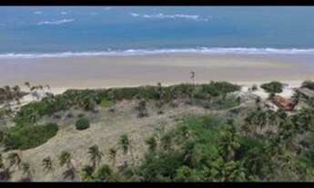 Imagem 5: Terreno praia da baleia itapipoca bera mar