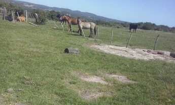 Imagem 5: Fazenda Porteira fechada ( AR 2749