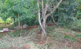 Imagem 8: Cháchara Jardim são José