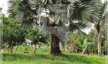 Imagem 7: Chácara com 11.700 m² no condomínio Veredas do Lago em Trindade GO