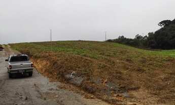 Imagem 7: Chácara à venda em Colônia Murici - São José dos Pinhais