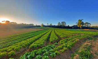 Imagem 5: Super Oferta! Invista com lotes imperdíveis em Ibiúna SP HP