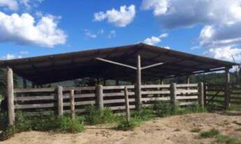 Imagem 4: Fazenda/Sítio/Chácara para venda possui 250 metros quadrados com 2 quartos