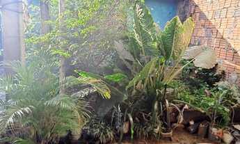 Imagem 6: Casa Quitada 450.000,00