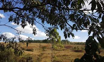 Imagem 5: Lote à venda, 5 vagas, Bosque Residencial Do Jambreiro - Nova Lima/MG