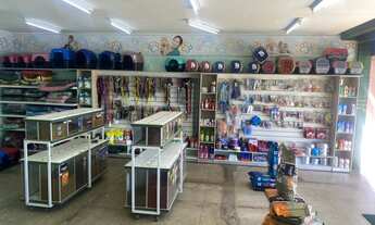 Imagem 6: Petshop / Neropolis-Go