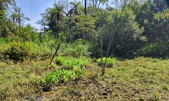 Imagem: Lote/Terreno para venda tem 20000 metros