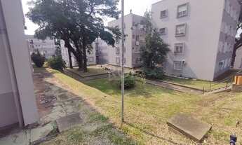 Imagem 7: Porto Alegre - Apartamento Padrão - Teresópolis