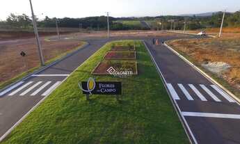 Imagem: CRICIúMA - Terreno Padrão - Primeira Linha