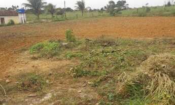 Imagem 6: Sitio a venda no Povoado Saco da Raiz em Estância