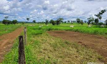 Imagem 3: Fazenda à venda, 779 he por R$ 20.930.000 - Zona Rural - Divinópolis do Tocantins/TO