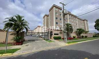 Imagem 4: CURITIBA - Padrão - Hauer