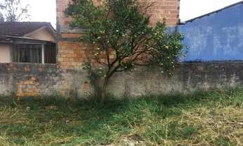 Imagem 4: Terreno 12x40 paloma Colombo aceita troca