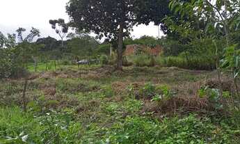 Imagem 2: Terrenos a venda em Amélia Rodrigues/BA