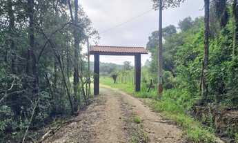 Imagem 3: Chácara. Vende se . Em Guajuvira. Araucária