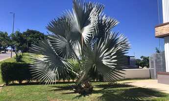 Imagem 5: Maravilhosa casa de 400m2 com 04 quartos e 03 suítes no Condomínio Alphaville Lagoa santa