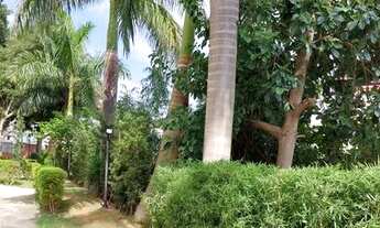 Imagem 2: Apartamento 65 m², 3 dormitórios com Sacada