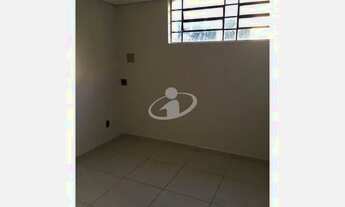 Imagem 4: Aluguel Apartamento CENTRO