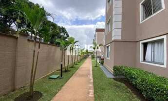 Imagem 7: CURITIBA - Padrão - Hauer