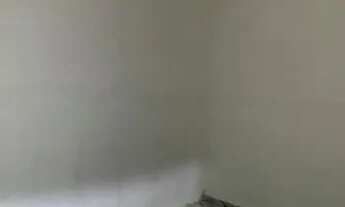 Imagem 7: Casa para alugar Jardim Santa Adelia