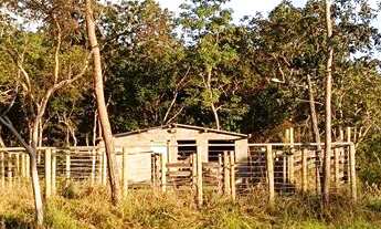 Imagem 7: Vendo chácara Chácara com venda por R$550.000