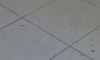 Imagem 3: Alugo na gilka machado 3 andar 1400 reais