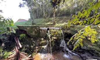 Imagem 4: Chácara à venda 40.000m² de área de Terreno com casa 03 Dormitórios, Riacho, Lago, Pomar