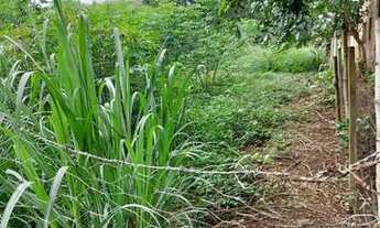 Imagem 2: Chácara em Caldazinha