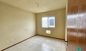 Imagem 7: PALHOçA - Padrão - Aririú