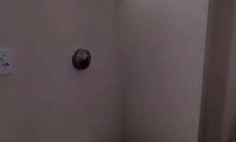 Imagem 7: Oportunidade Kitinete com suite centro Guarapari