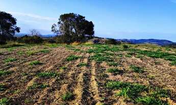 Imagem 3: Lote/Terreno para venda com 500 metros quadrados em Centro - Atibaia - SP