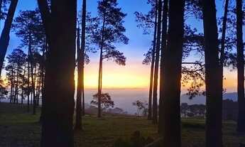 Imagem 3: Lotes de 1000 metros semi plainos em Mairiporã