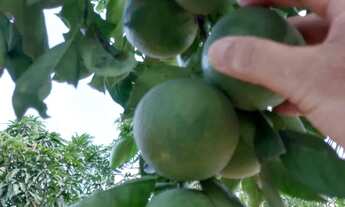 Imagem 4: Casa Pequena e Aconchegante em Passa e Fica