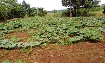 Imagem 3: 153. Chácara com rio no Distrito De Bonfim - Jaraguari/MS