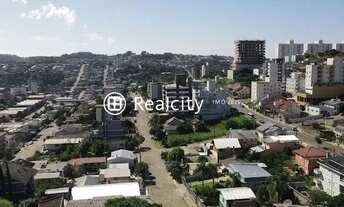 Imagem 3: BENTO GONçALVES - Padrão - Progresso