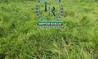 Imagem 4: Chácara/Fazenda 11 alqueires Próximo a Palmas