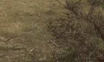 Imagem 3: Mine sitio Terreno / lote com venda por R$40.000