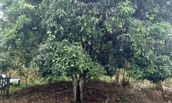 Imagem 3: Sítio para Venda em Messias, Zona Rural