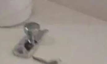 Imagem 7: Kitnet com 1 dormitório para alugar, 30 m² por R$ 1.930,00/mês - Centro - Rio de Janeiro/R