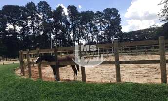 Imagem 3: Investimento!! Terreno 800 m²