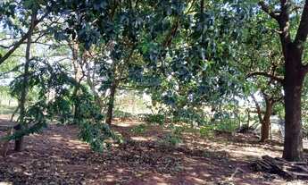 Imagem 2: Venda de Terreno / Padrão na cidade de Araraquara