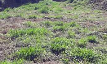 Imagem 5: Excelente chácara no Caparaó Capixaba - Pedra Menina ES