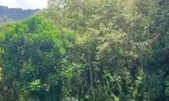 Imagem 3: Casa de condomínio para venda possui 1398 metros quadrados em Rio Abaixo - Mairiporã - SP