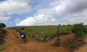 Imagem 6: Vendo 1 tarefa e meia de terra vendo ou troco p algo